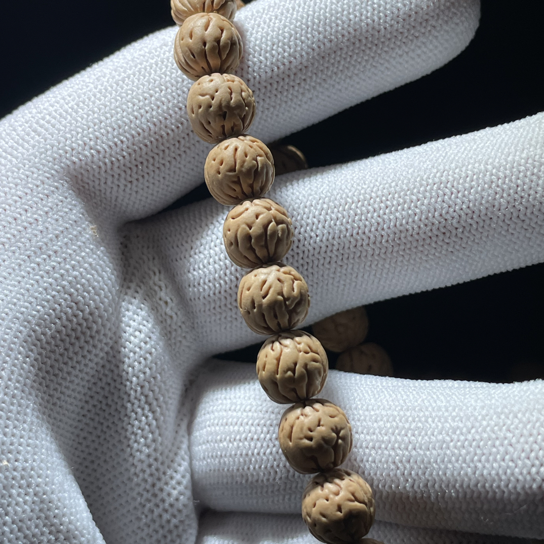 肌肉大肠桃核脖挂