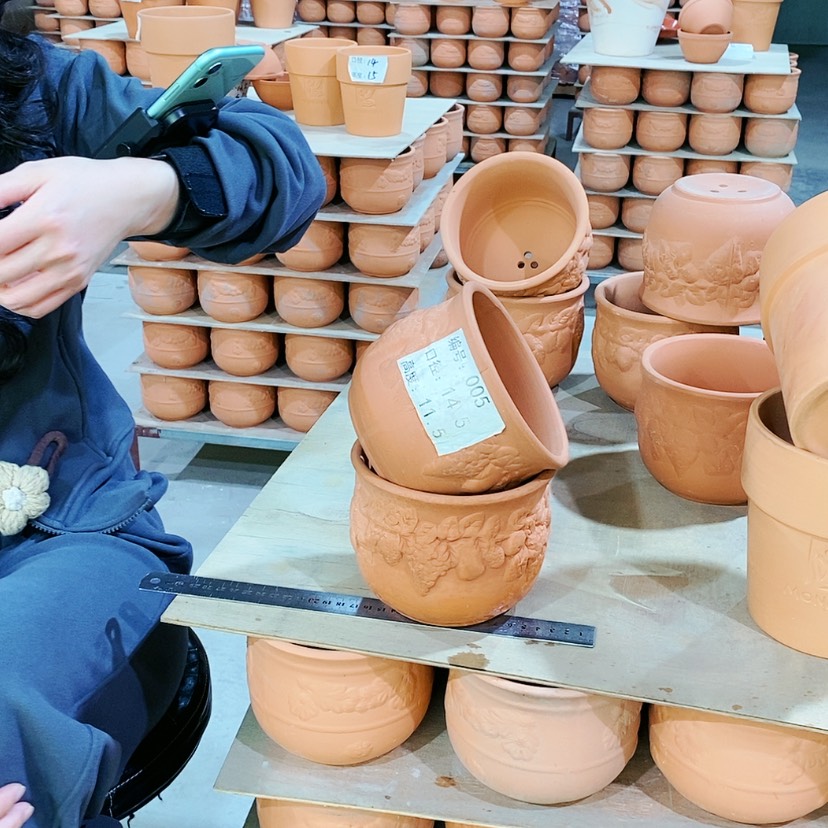 【闪购商品】红陶005-2