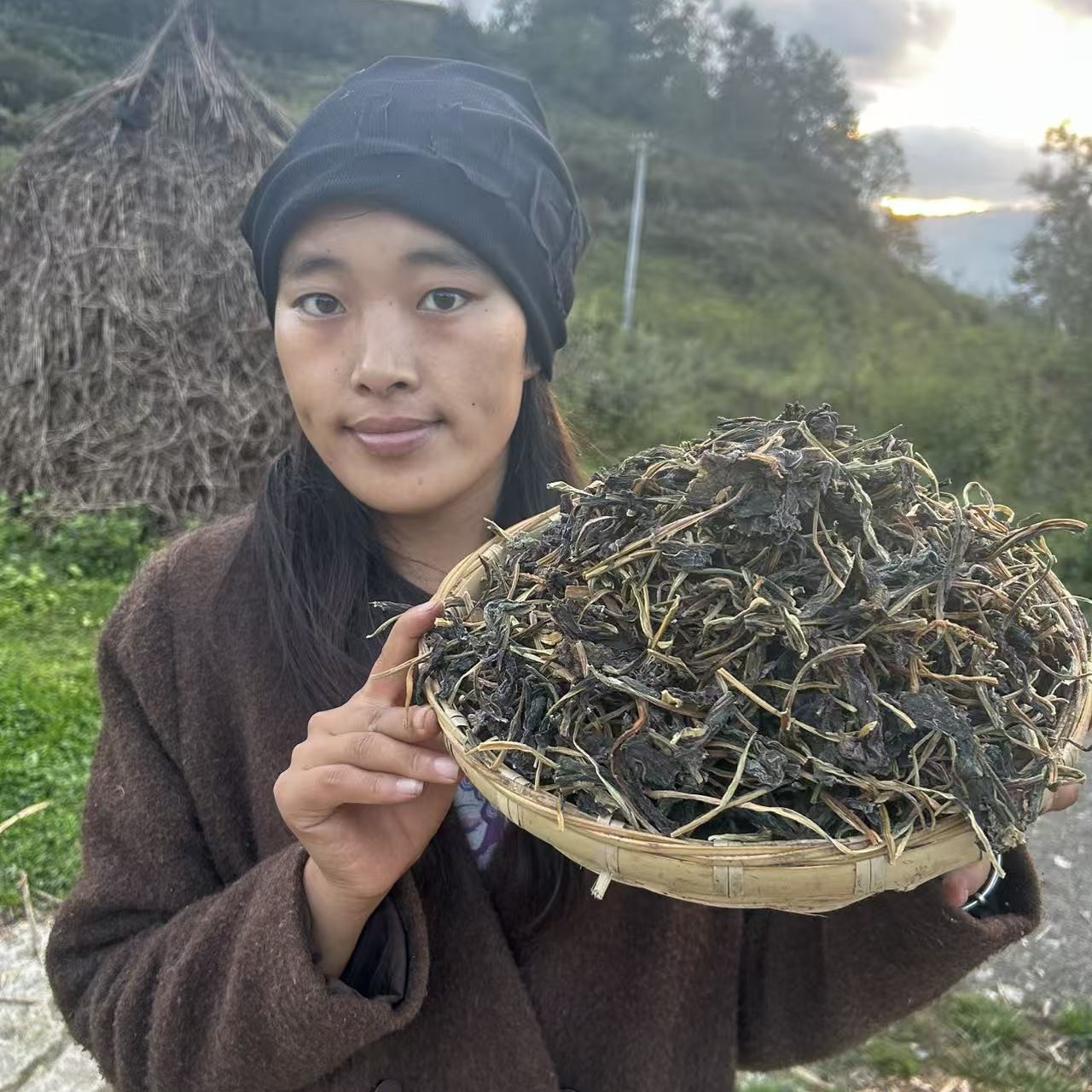 大凉山木嘎家圆根酸菜干