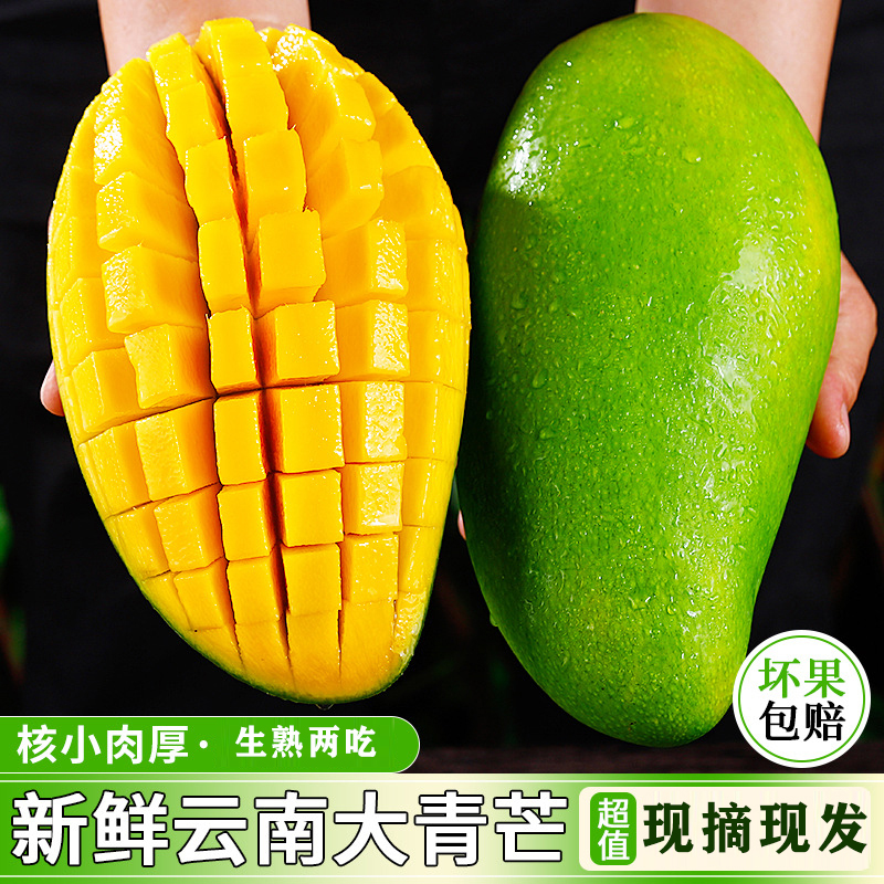 【生熟两吃】新鲜云南大青芒果当季金煌芒青皮甜心芒热带水果整箱