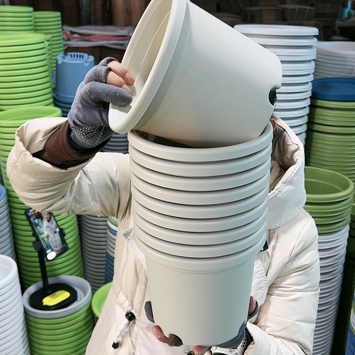 特价2号四季口17.3高14.7米色无托10只