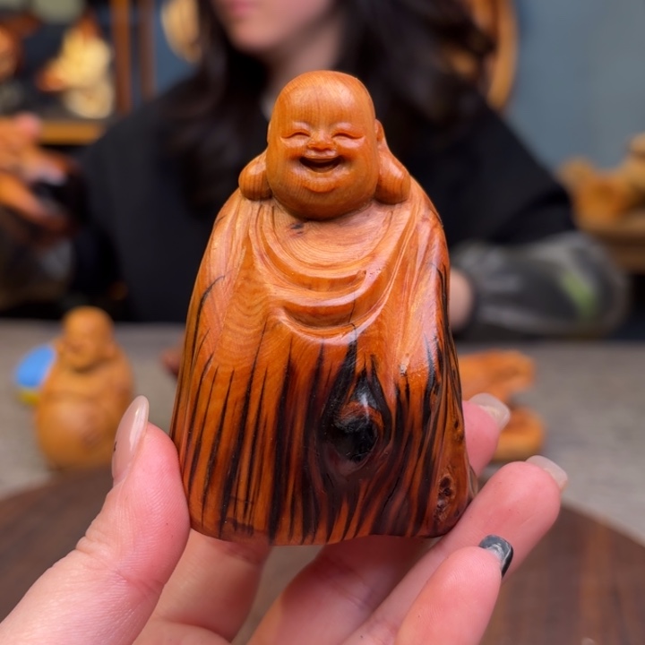柏木（崖柏）关注一下