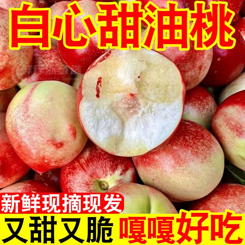 【新鲜采摘】头茬高山油桃白心桃子大果应季孕妇水果非水蜜桃整箱发