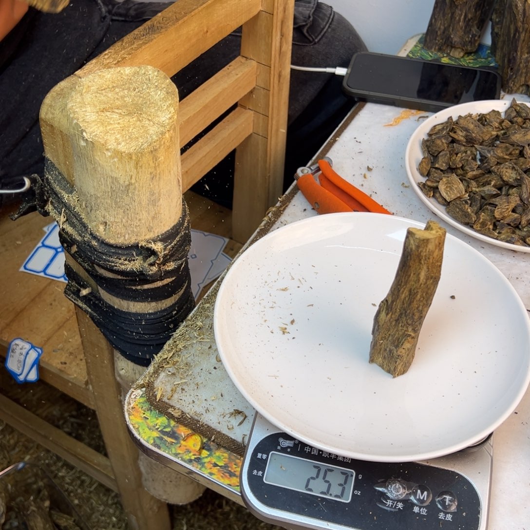 线香奇楠虫漏香25克