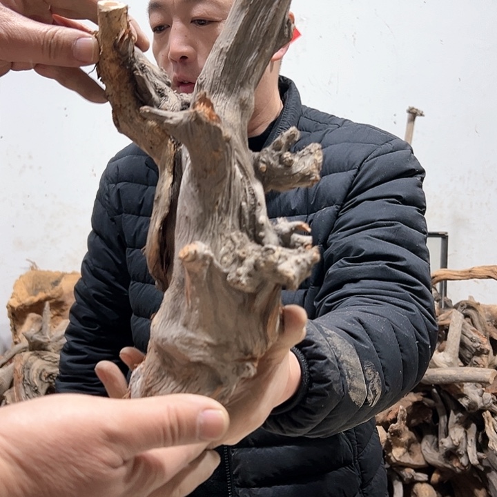 柏木美****）我们都是好孩子呀打榜