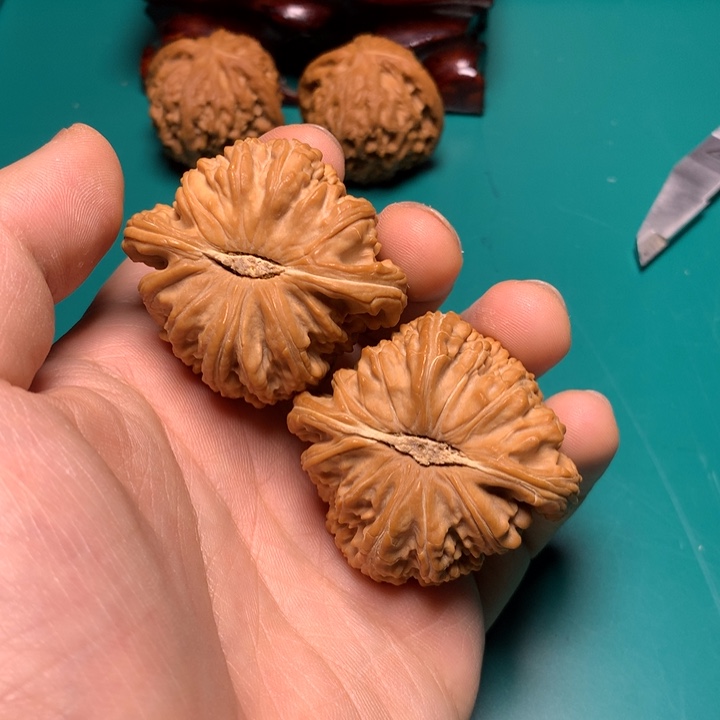 把件文玩核桃山白狮子