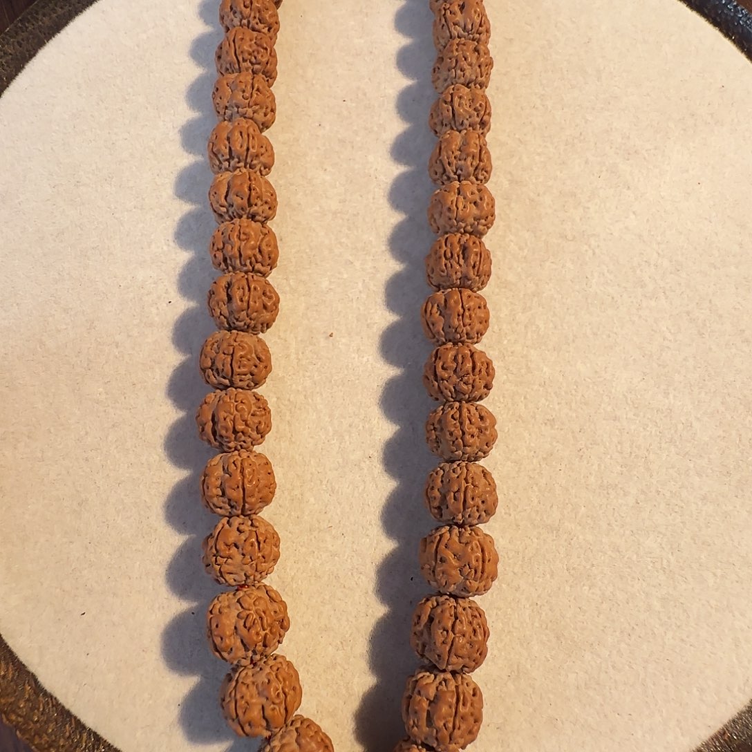 金刚菩提手串老树梅花单圈