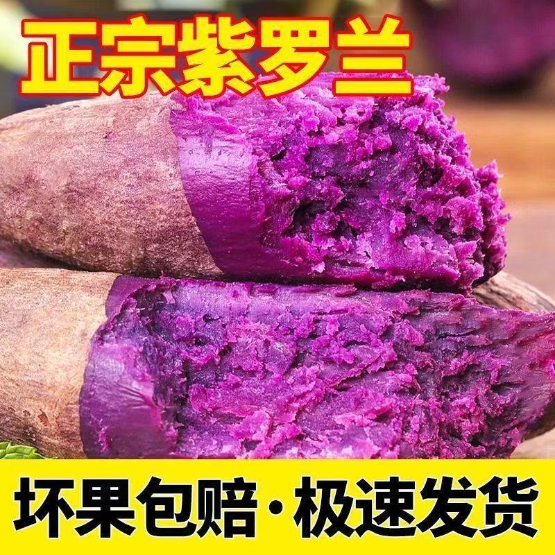 正宗沙紫薯新鲜现挖健康美味