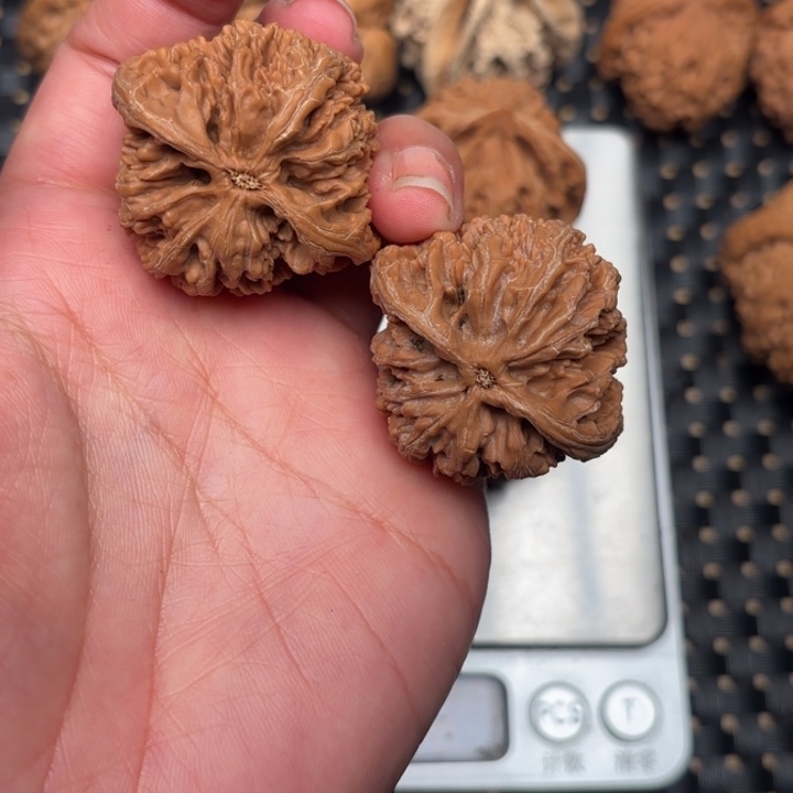 亿***光九龙筋文玩核桃的