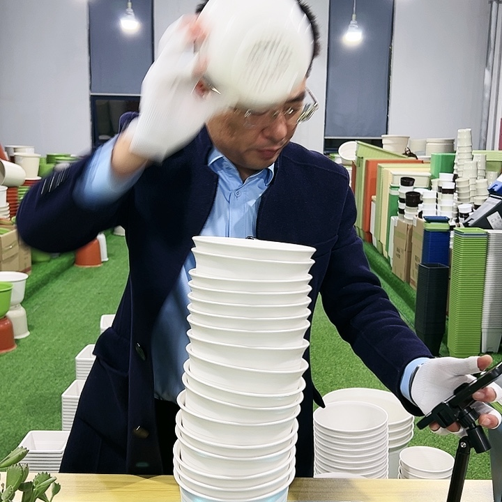 正品矮陶口15高11白色10只无托