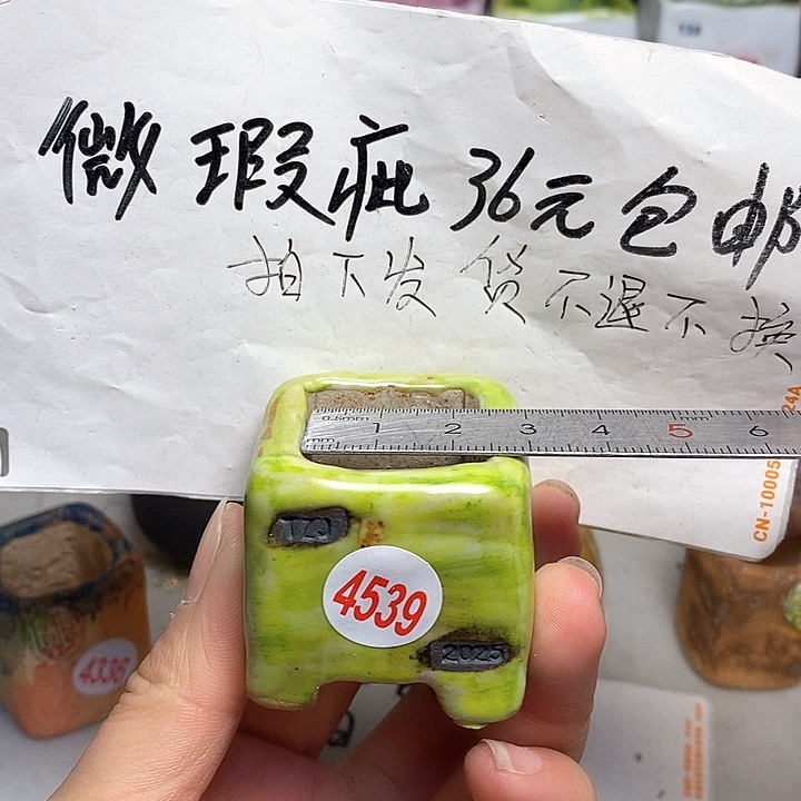 红陶拍5送一个小