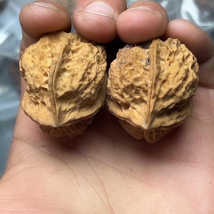 文玩核桃把件21号铁三楞37尺