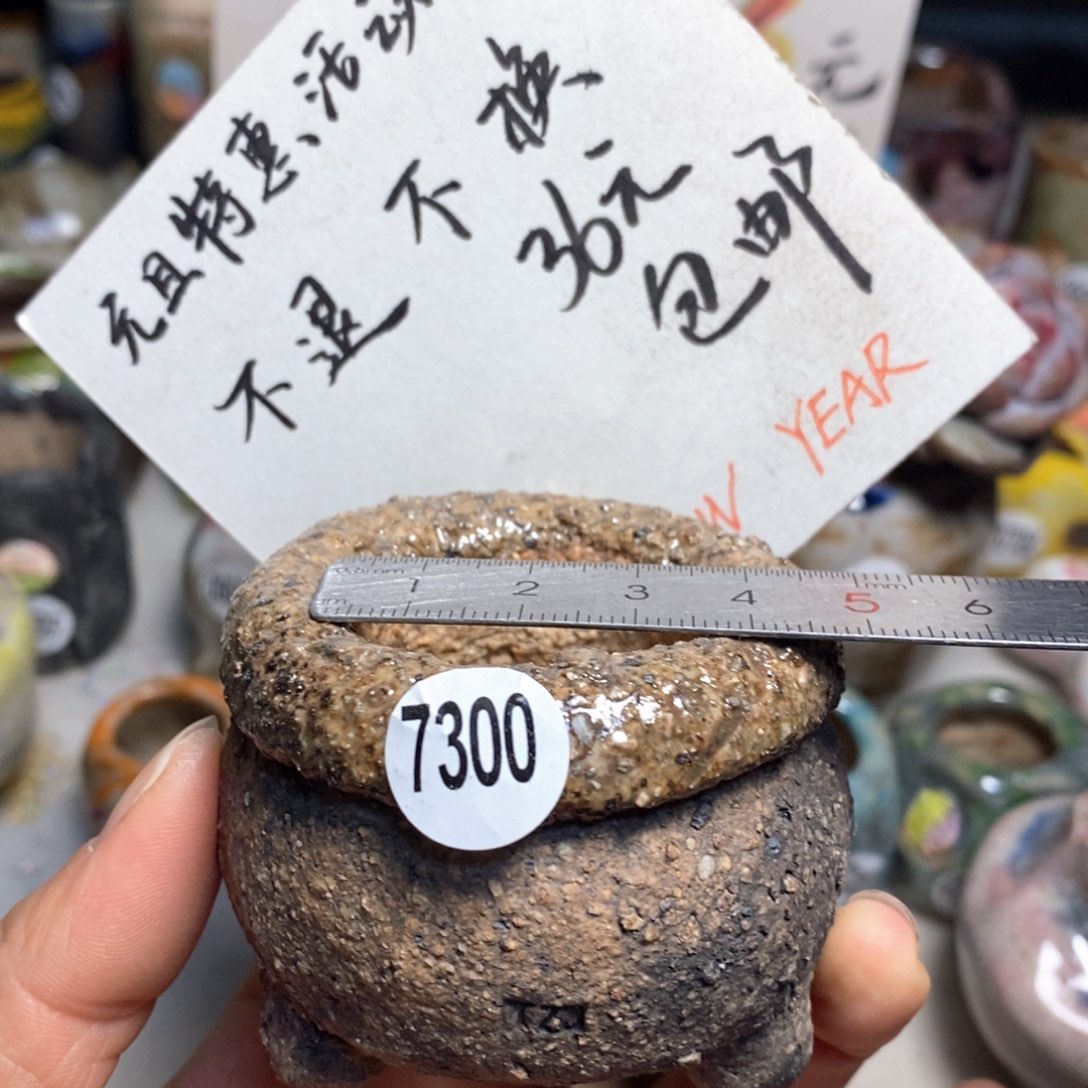 元旦特惠花盆不退不换的，原价28元