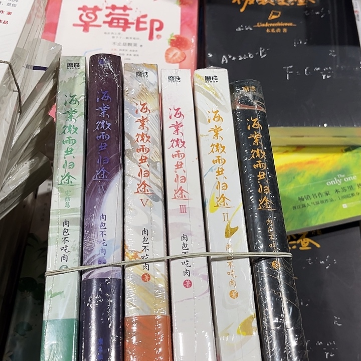 二哈和他的白猫师尊全新六本一套