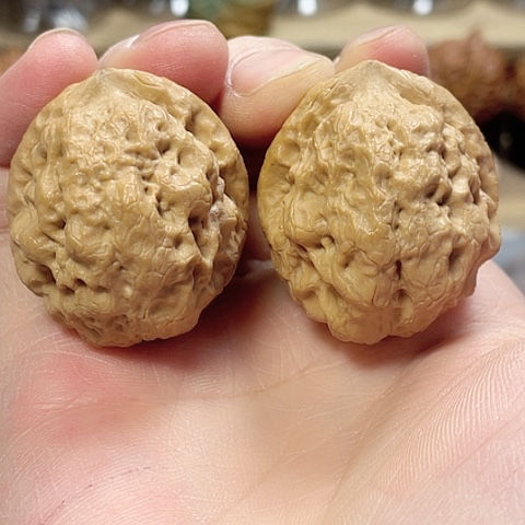 文玩核桃把件玉龙金蟾带彩43