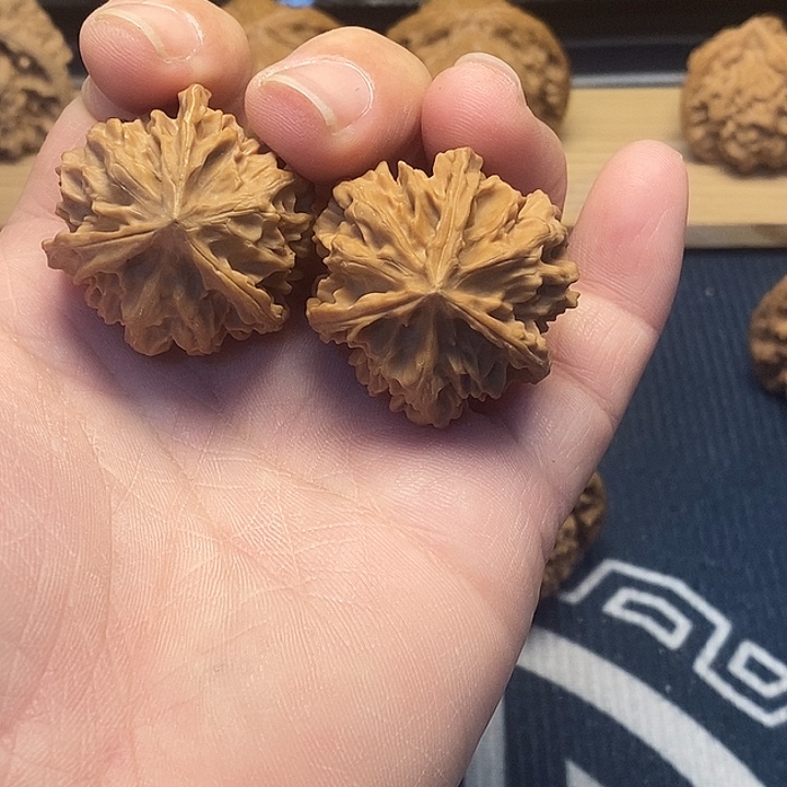 核桃32全品正奔福利