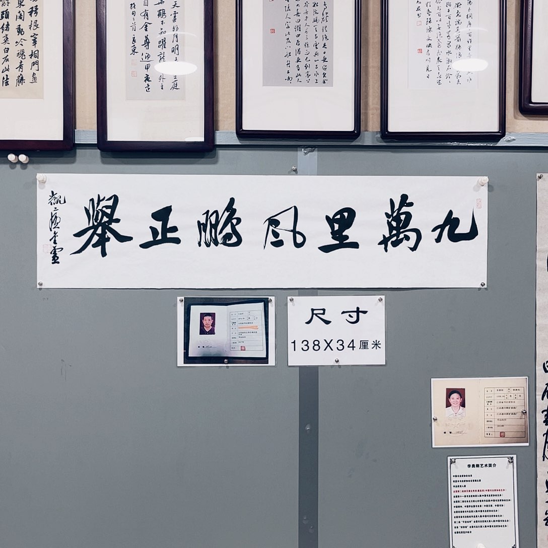 书法王金灵作品四平尺九万里风鹏正举