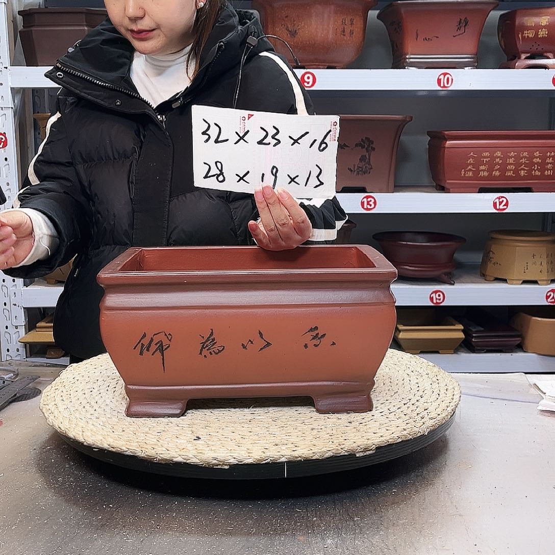 紫砂花盆紫砂花盆里