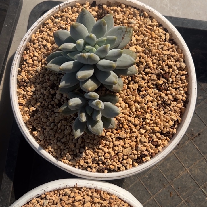 南***"南风111111111111111