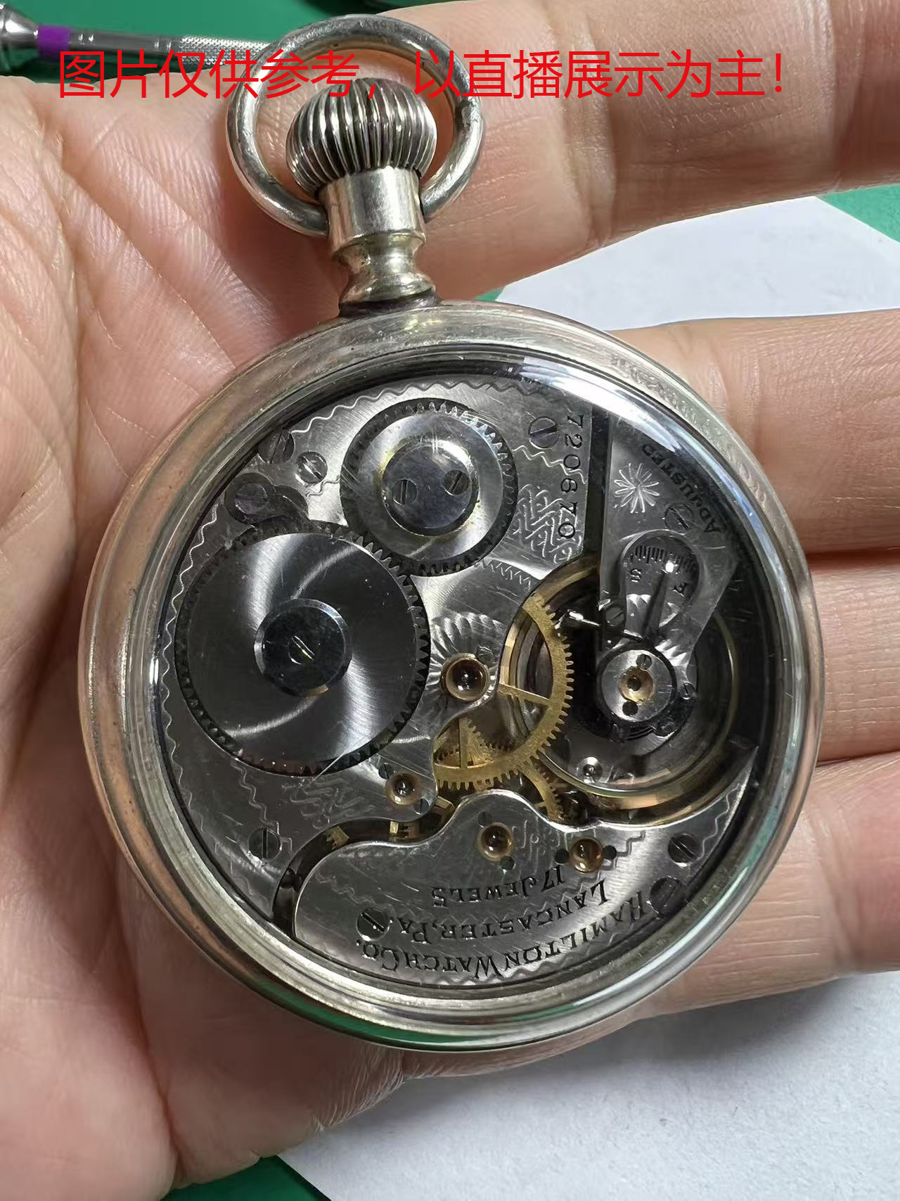 老怀表-以直播展示为主