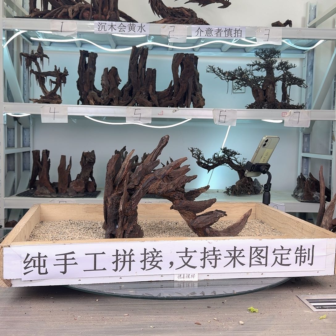 你***啊沉木造景沉木造景