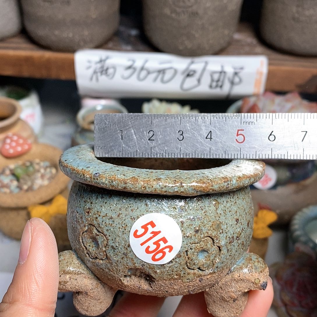 红陶拍5送一个小