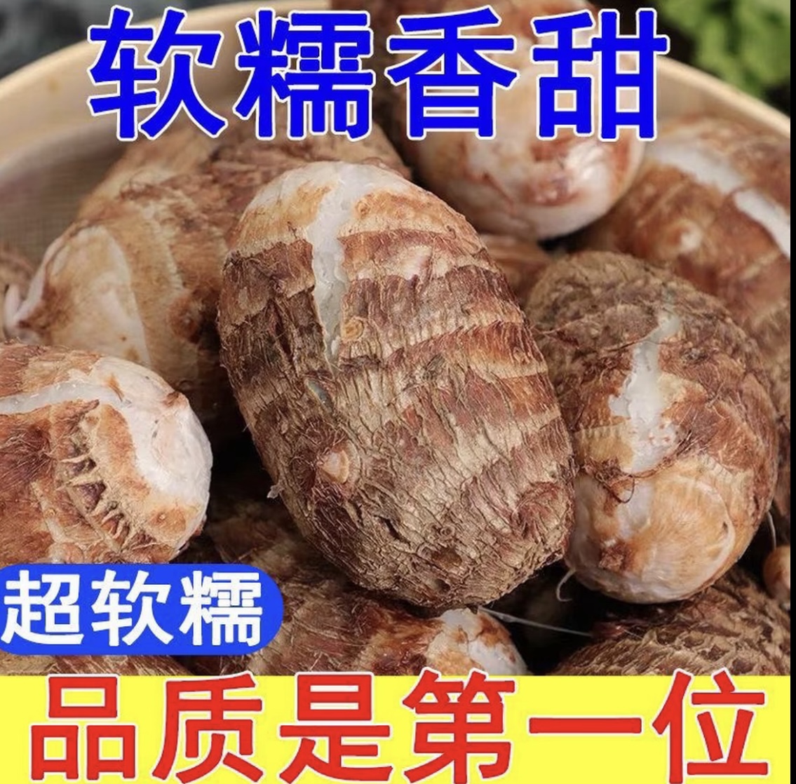 山东新鲜牛奶芋头应季现挖香甜软糯香芋芋