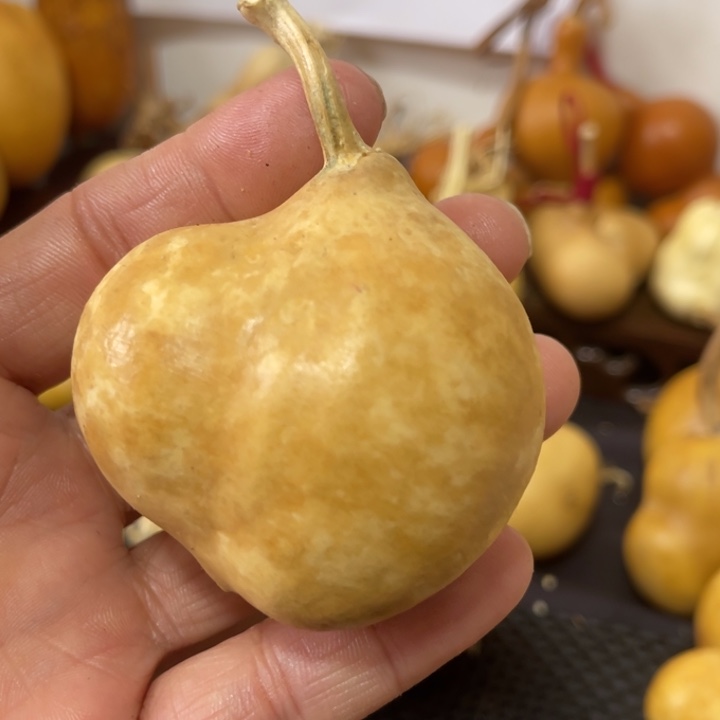 咕***噗葫芦哈哈哈哈哈哈哈哈