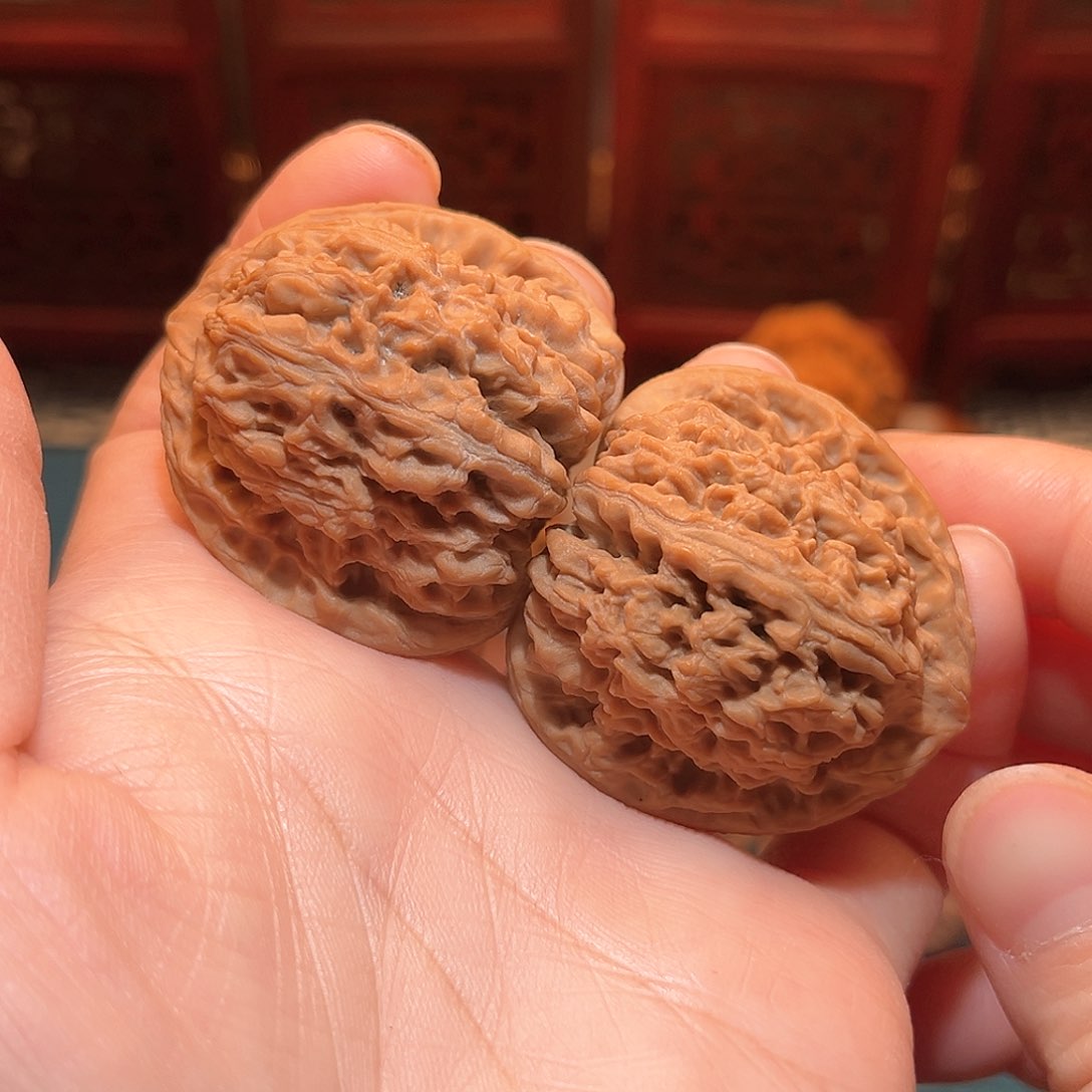 38.5全品逐鹿南疆石……