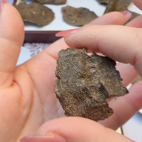 沉香摆件海南三亚厚包头2.3克