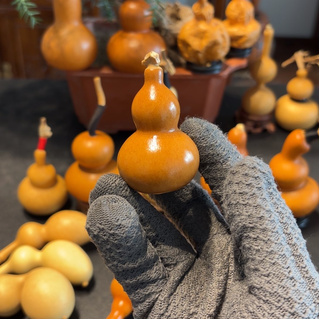 m***o葫芦888888888888888