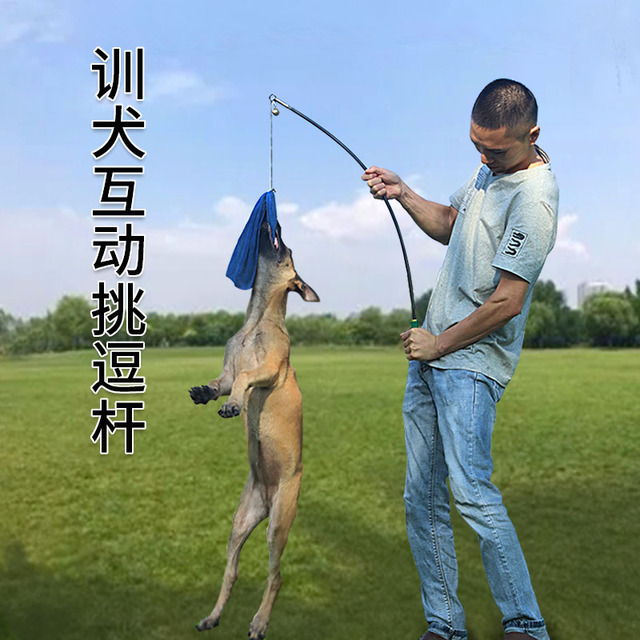 训狗棒训狗工具挑逗杆训犬用品马犬逗狗棒撕咬训练装备狗扑咬神器