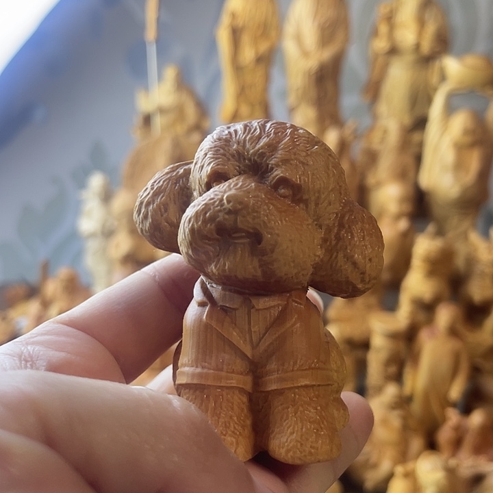 柏木（崖柏）崖柏泰迪