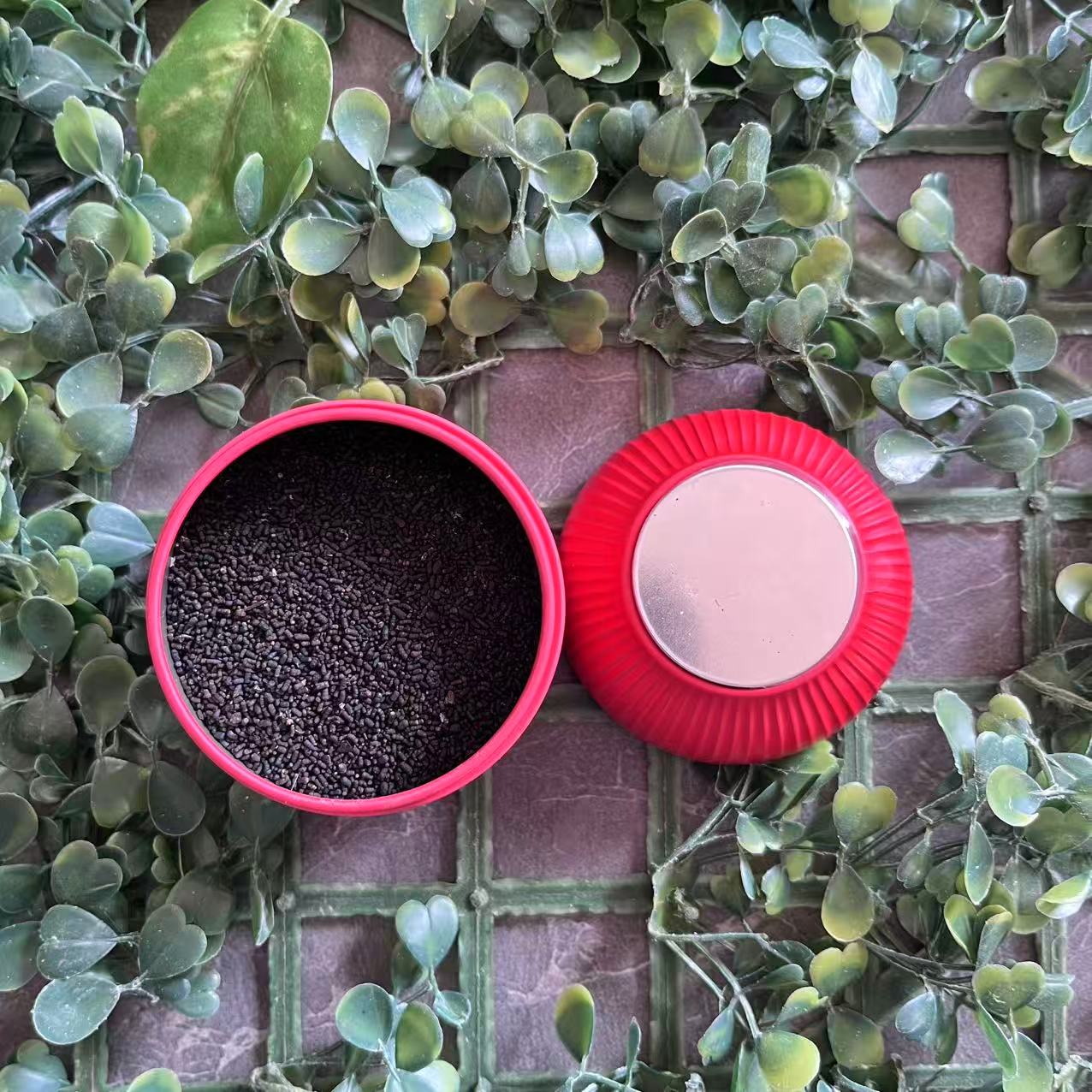 雨腾古茶  1000 X丹"特T 00 1 全X失"终J核J能30g/罐（11月25) 