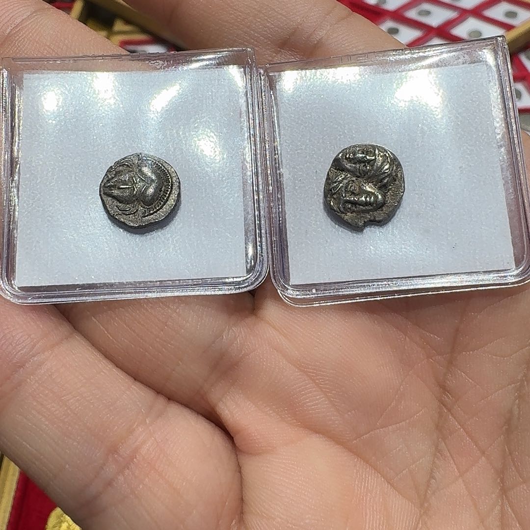 金毛*双子银币和头盔银币