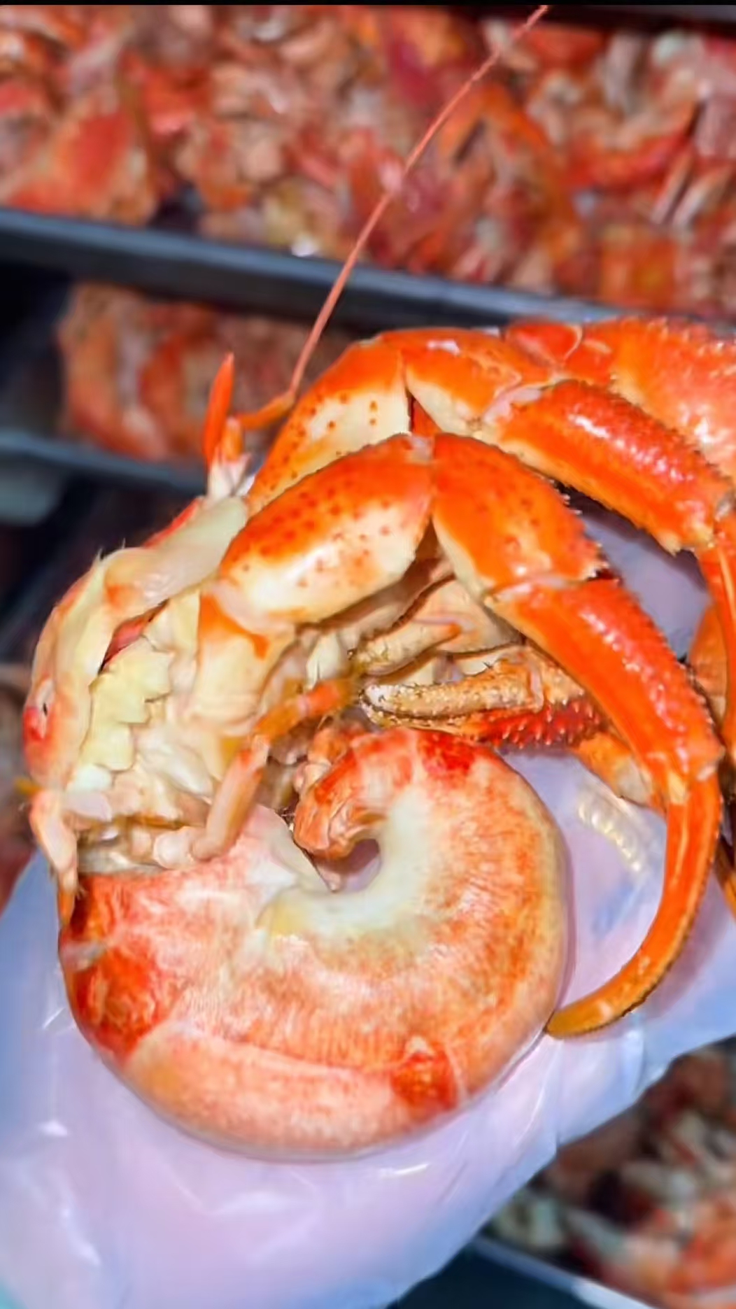 【清蒸虾怪去壳纯肉】野生虾怪海怪食用寄居蟹网红海鲜【顺丰包邮】