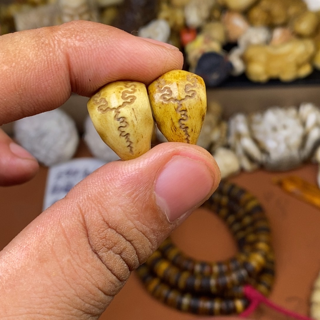 其他驼骨人工样子