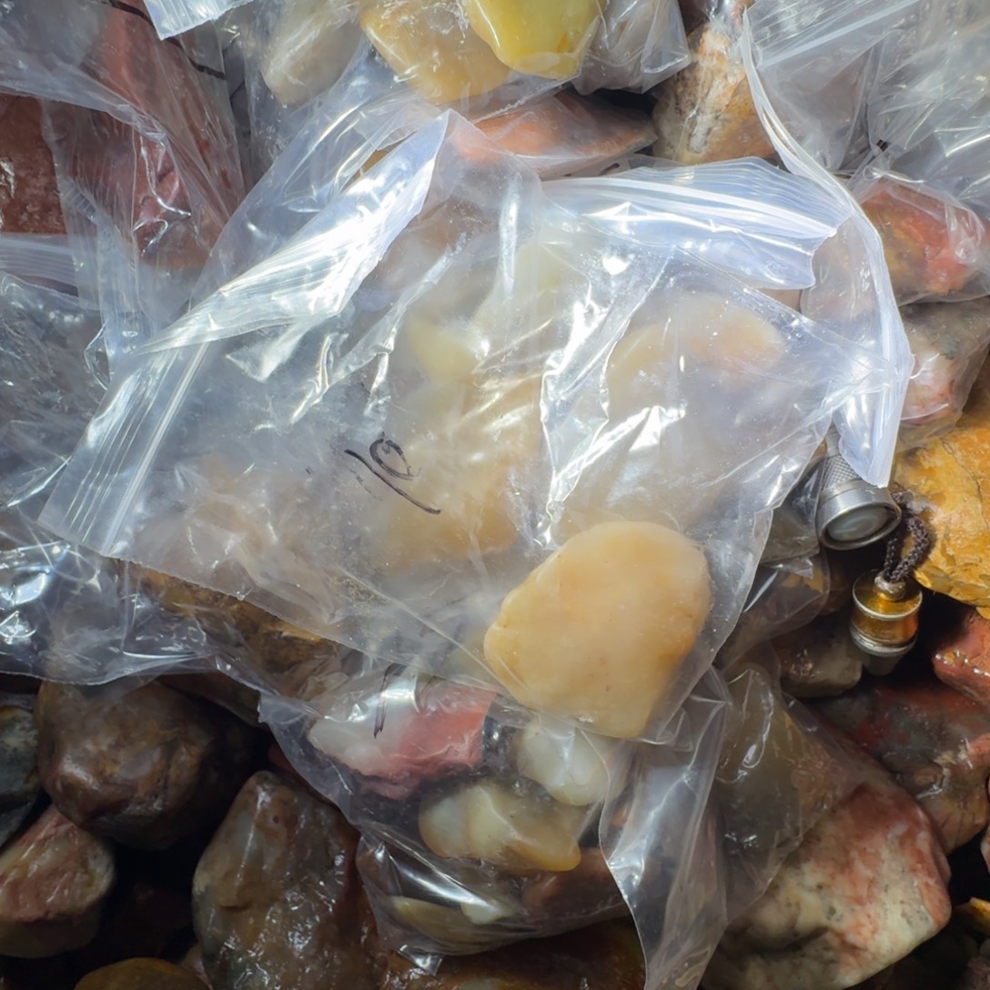 尼***哥寿山石9988888988899999