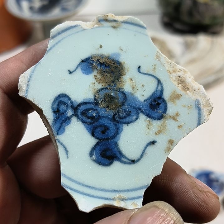 瓷片瓷片瓷片瓷片瓷片