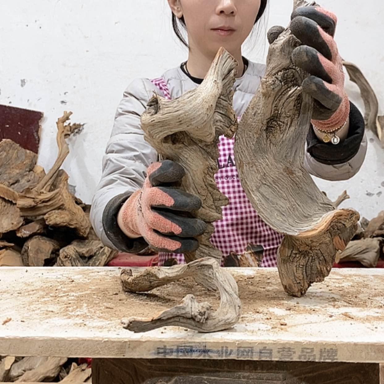 【闪购商品】柏木7*7我们都是好孩子