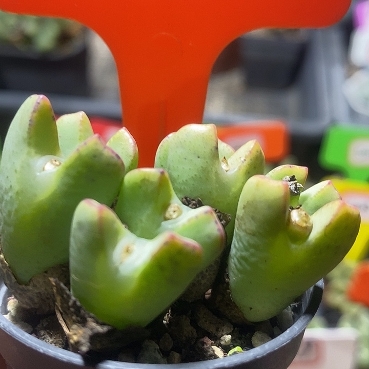 在一起就是为了和朋友聊天而已7060