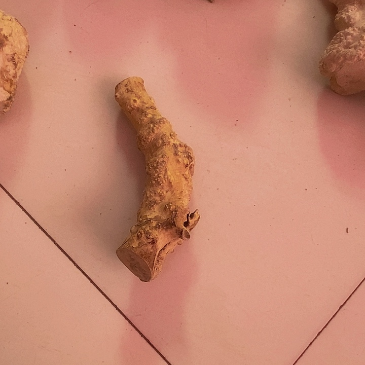 用***1黄杨木等多种木材