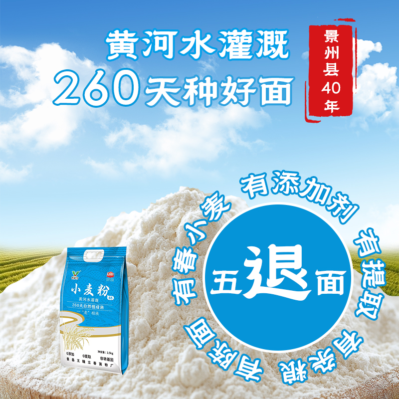 恒亦雪零添加冬小麦河北硬质冬麦面粉面点美食65粉高筋面粉升级版