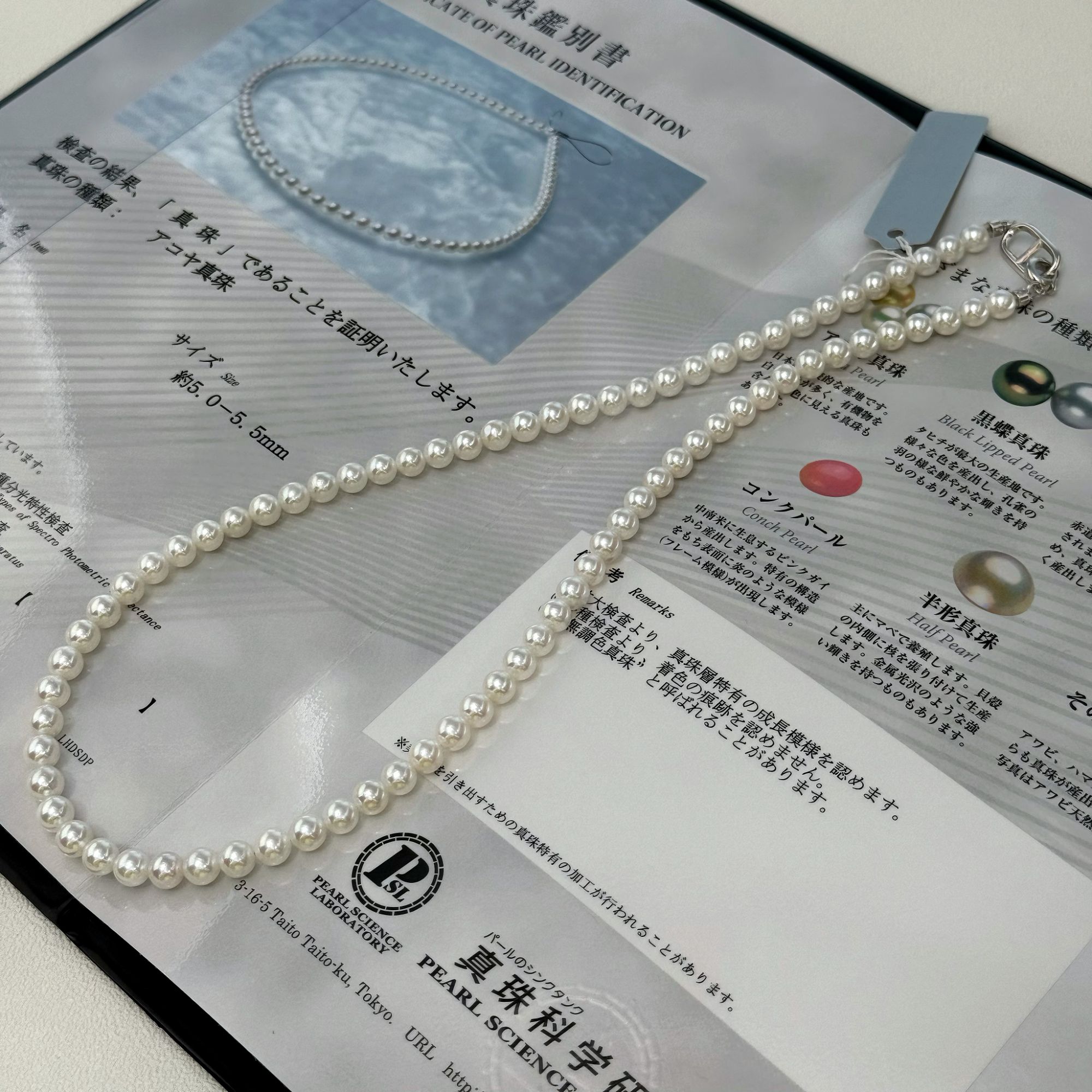 【小彤专属】【赛彩凛】天然海水akoya珍珠5-6带大证项链RY8064