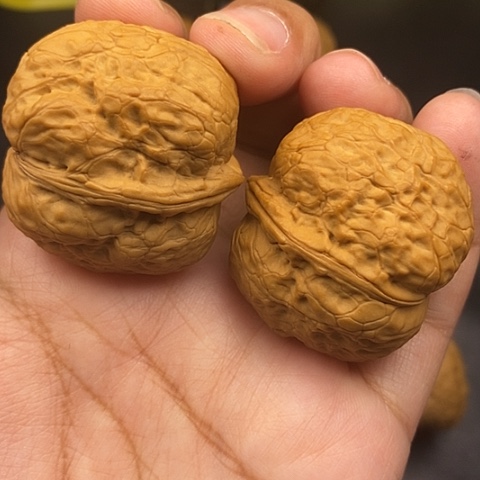 文玩核桃把件39尺元宝蟾