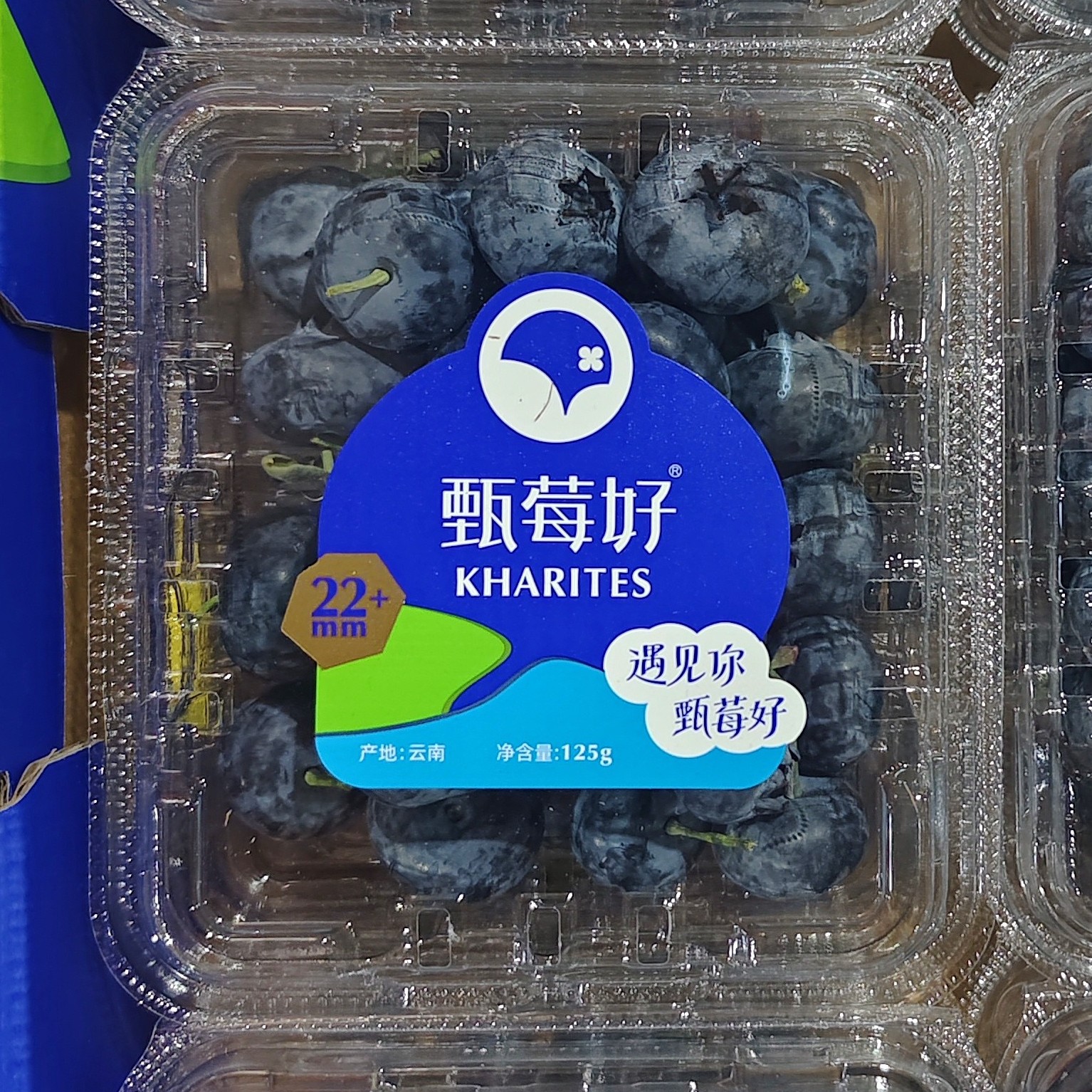 甄美好蓝莓22+六盒起拍多规格