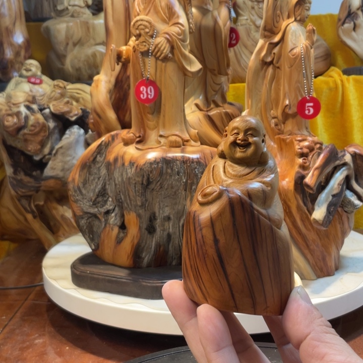 柏木（崖柏）崖柏   弥勒