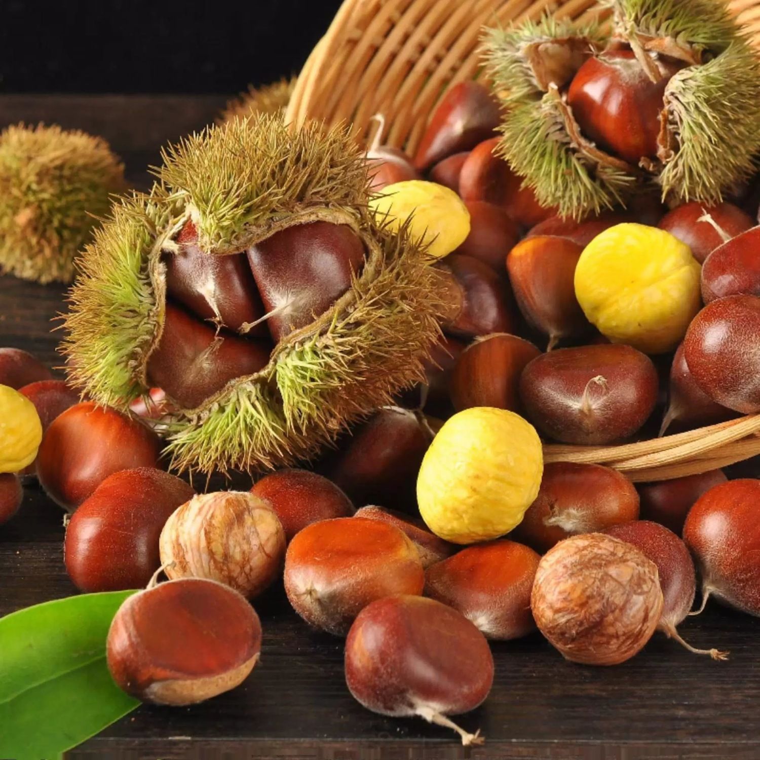 高山老树新鲜油栗软糯香甜好去皮