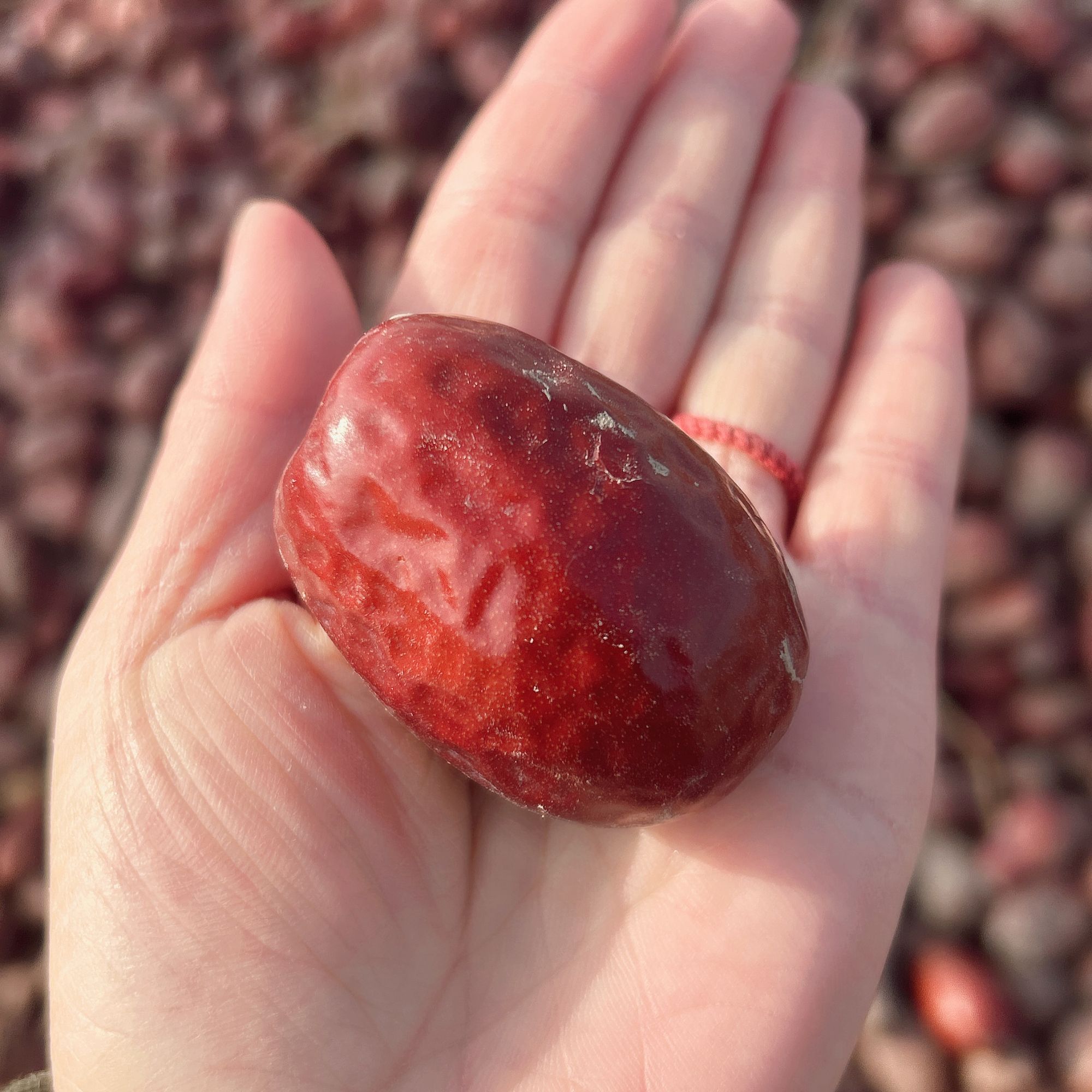 和田大枣 大特 好大好大数量不多先拍先得 新疆产地直发全国包邮 