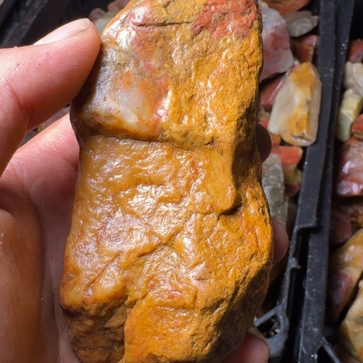 火***云寿山石寿山石的种类